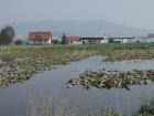 Povodně na Zlínsku poškodily farmáře